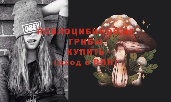 соль ск Кукмор