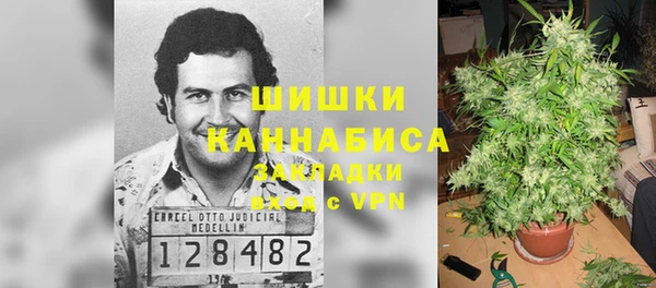 молекула духа Куйбышев