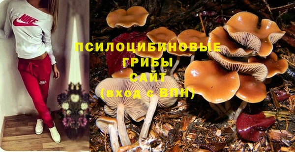 эйфоретик Краснотурьинск