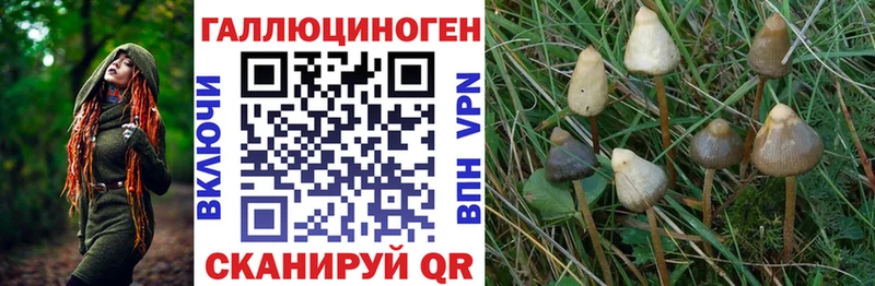 Псилоцибиновые грибы мицелий  Приозерск 